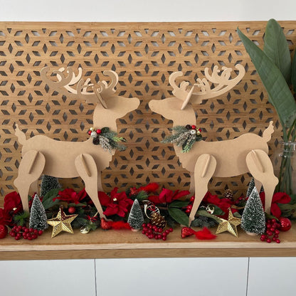Reindeer Bundle