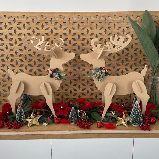 Reindeer Bundle